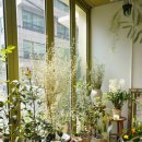 방배로36길 36 이미지