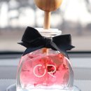 내추럴리떼 이미지