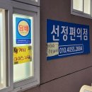 월정방풍림 이미지