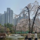 예술로 보는 기후 이야기(冊)