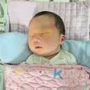 부산성모병원 | 부산성모병원 신생아집중치료실( NICU) 12일 입원 후기 – 일과성빈호흡, 황달로 입원했던 우리 아기