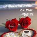 💒 축 성탄 ⛪️ 우리 모두의 가정과 가슴에 아기 예수님 탄생을 🎂 🥳 이미지