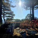 강촌강변 | 강촌 엘리시안cc 라운딩후기 _ 힐, 밸리코스