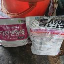 살균제 살포 이미지
