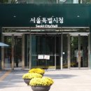 [검경투데이] 배송지연에 연락두절…명품구매대행 &#39;에스디컬렉션&#39; 피해 급증