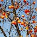 (주)양평사료 - 양평군 청운면 | (주)양평사료