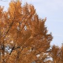 희망분수 이미지