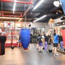 브리드 복싱GYM 이미지