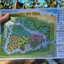 몽산포자동차야영장 이미지