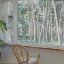 포레스테이 이미지