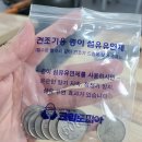 울산 북구 코인 빨래방 셀프 이불 빨래 뽀송뽀송하네요