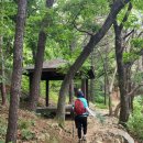 학마을 목욕탕 이미지