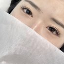 글램래쉬(Glam Lash) | [공지] [대전 속눈썹 연장] 대전 서구 관저동 속눈썹연장, 글램래쉬