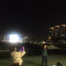 블랙티하우스