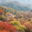 비밀의 정원 이미지
