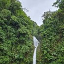 신용나라세탁 | #21. 코스타리카 4인 가족 6박 7일(경비 정산)