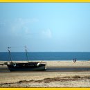 바오밥나무 이미지