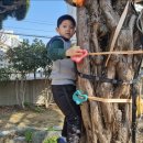 금련사유치원 이미지