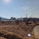 VIP부동산중개사무소 이미지