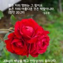 이구원: 젊은 자의 영화는 그 힘이요 늙은 자의 아름다운 것은 백발이니라. 잠20:29 이미지