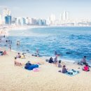 플렉스짐 이미지