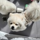 마인드몽 유치원 이미지