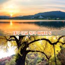 평화오토 이미지