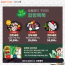 돌머리 오토캠핑장 | 함평/ 돌머리 오토캠핑장(카라반)/ 내돈내산 이용후기