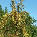 인영농장 이미지