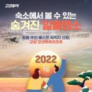 고코요