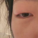 [호주 워홀 D+251~257] 드디어 떠나는 타즈매니아 그리고 시작된 코린디로 가는 로드트립, 멜버른