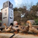 호덕이식당 이미지