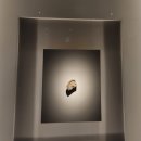 11.한미APT 맞은편 | 경주 국립박물관 오픈런 (금관특별전시관 + 굿즈샵 + 수막새마들렌)