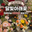 장바탕2교 | 대전 꽃도매시장 카네이션 꽃바구니 2만원대, 어버이날 선물 달빛아래꽃 내돈내산 후기