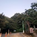 16.영인면사무소 네이버블로그