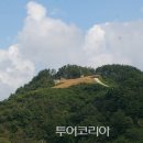 브이랜드 이미지