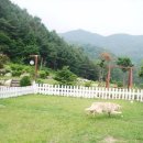 하늘자락 물소리 이미지