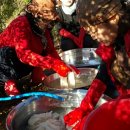 숲속의 하루민박 이미지