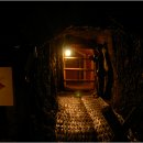 제주가마오름 일제동굴진지 이미지