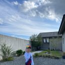 위요감 | 🍁 청도 감성 숙소 추천｜일본 온천 감성 그대로, 가족여행에 좋았던 위요감 후기