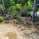 돌속농장 이미지