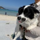 제주윤채 이미지