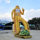 경북영주 풍기인삼축제 이미지