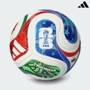 26년 FIFA 월드컵 공식 공인구 ‘트리온다 프로’ 탑스포츠 상륙! 역대급 단독 할인! ⚽ 이미지