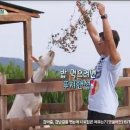 지민목장 이미지