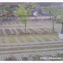 손골공원 이미지