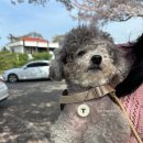 커피스미스(성남점) | 렉서스 할인 ES 재고 소닉쿼츠 마브 출고후기 문경