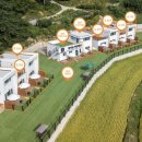 펫티움애견펜션 이미지