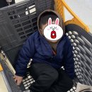 토니모리이마트 이미지