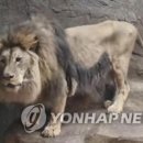 마곡우리공인중개사사무소 이미지